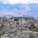 Image for article titled What I’ve Learned, Learning To Ride Mountain Bikes